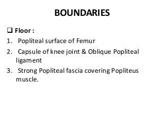 BOUNDARIES
 Floor :
1. Popliteal surface of Femur
2. Capsule of knee joint & Oblique Popliteal
ligament
3. Strong Popliteal fascia covering Popliteus
muscle.
 