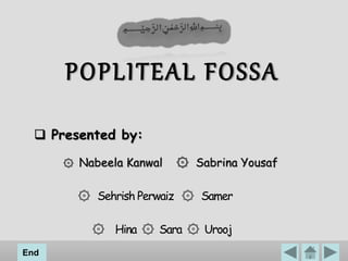 POPLITEAL FOSSA
۞ Nabeela Kanwal ۞ Sabrina Yousaf
۞ Sehrish Perwaiz ۞ Samer
۞ Hina ۞ Sara ۞ Urooj
End
 Presented by:
 