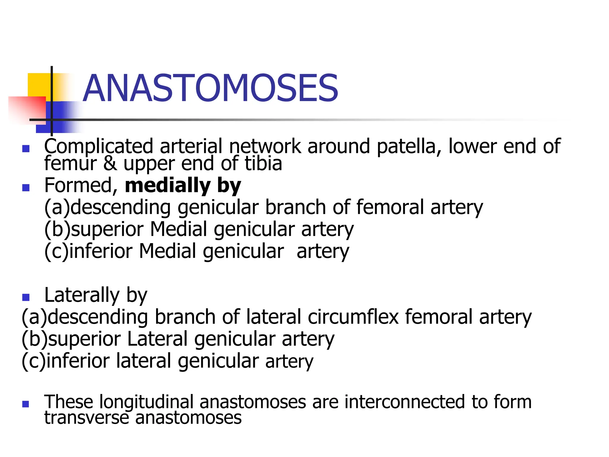 ANASTOMOSES
 Complicated arterial network around patella, lower end of
femur & upper end of tibia
 Formed, medially by
(a)descending genicular branch of femoral artery
(b)superior Medial genicular artery
(c)inferior Medial genicular artery
 Laterally by
(a)descending branch of lateral circumflex femoral artery
(b)superior Lateral genicular artery
(c)inferior lateral genicular artery
 These longitudinal anastomoses are interconnected to form
transverse anastomoses
 