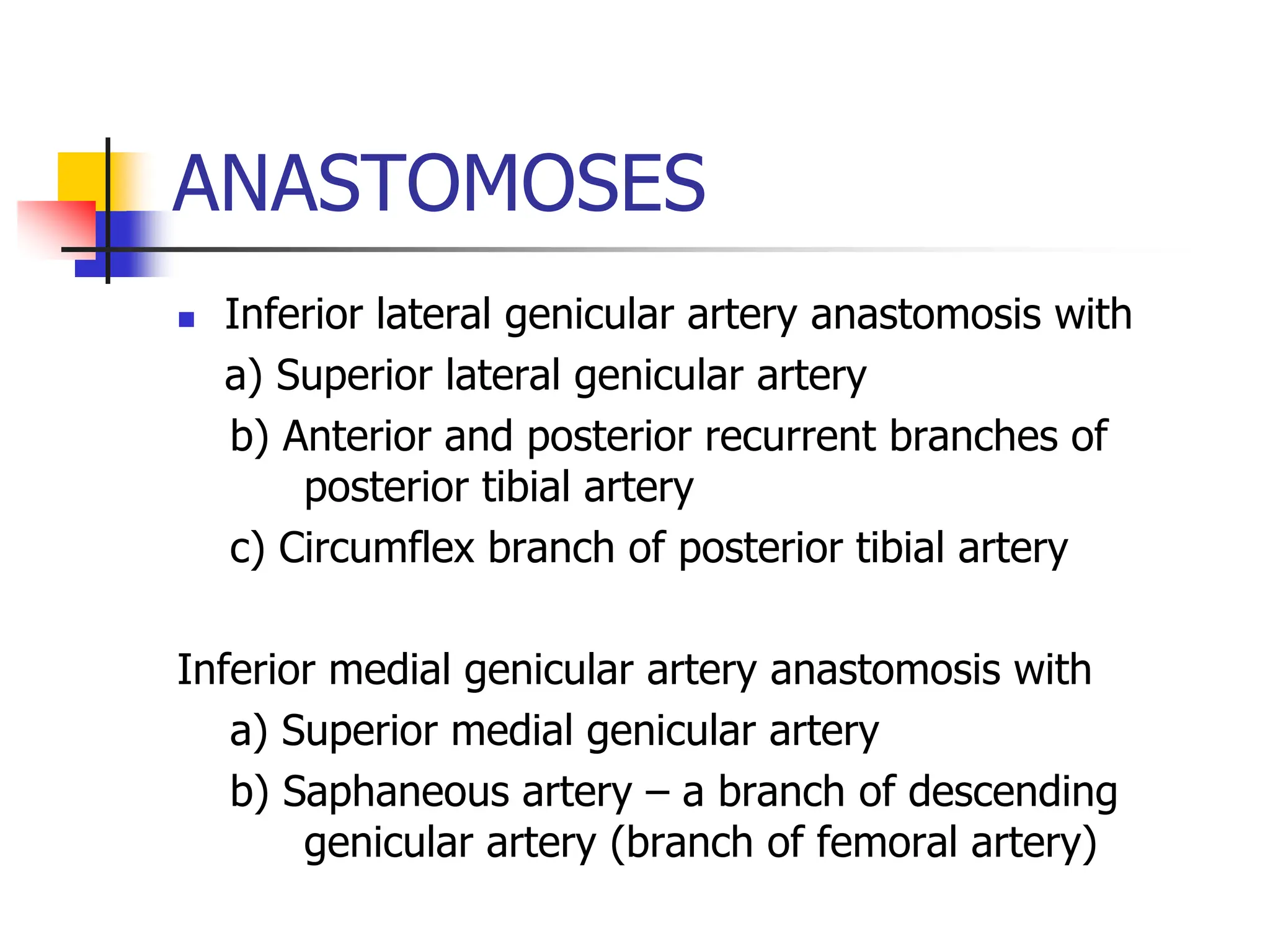 ANASTOMOSES
 Inferior lateral genicular artery anastomosis with
a) Superior lateral genicular artery
b) Anterior and posterior recurrent branches of
posterior tibial artery
c) Circumflex branch of posterior tibial artery
Inferior medial genicular artery anastomosis with
a) Superior medial genicular artery
b) Saphaneous artery – a branch of descending
genicular artery (branch of femoral artery)
 