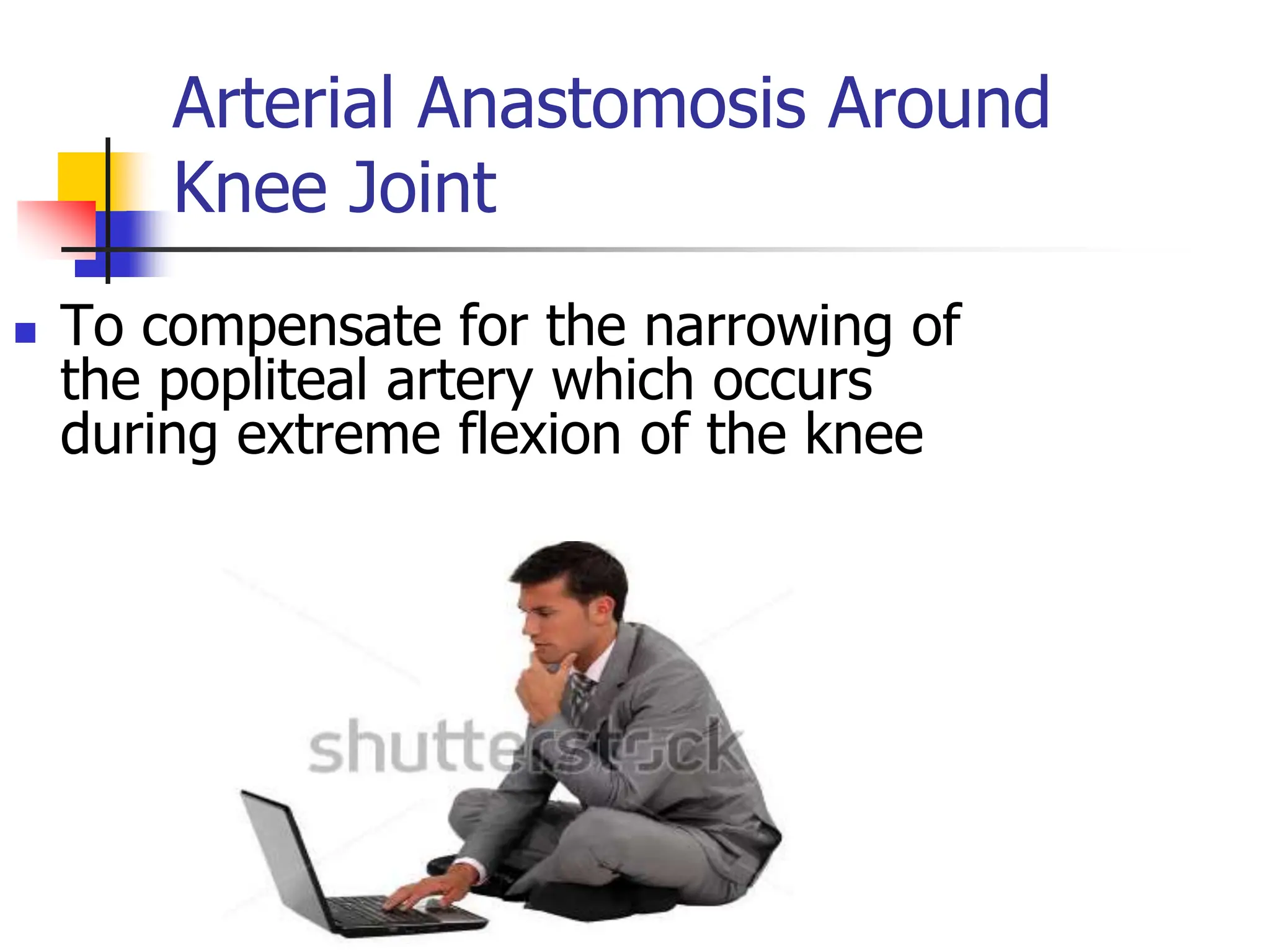 Arterial Anastomosis Around
Knee Joint
 To compensate for the narrowing of
the popliteal artery which occurs
during extreme flexion of the knee
 