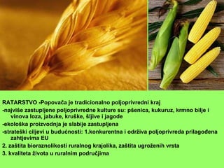 Geografija - Geografski pogled na Popovaču | PPT