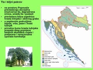 Geografija - Geografski pogled na Popovaču | PPT