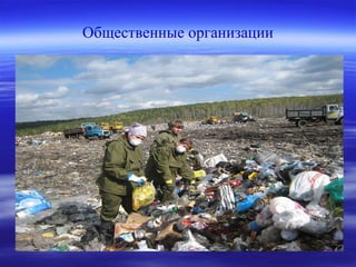 Общественные организации
 