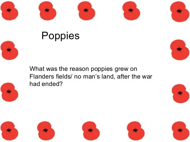 when was poppies by jane weir published