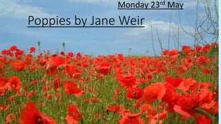Poppies by Jane Weir
Monday 23rd May
 
