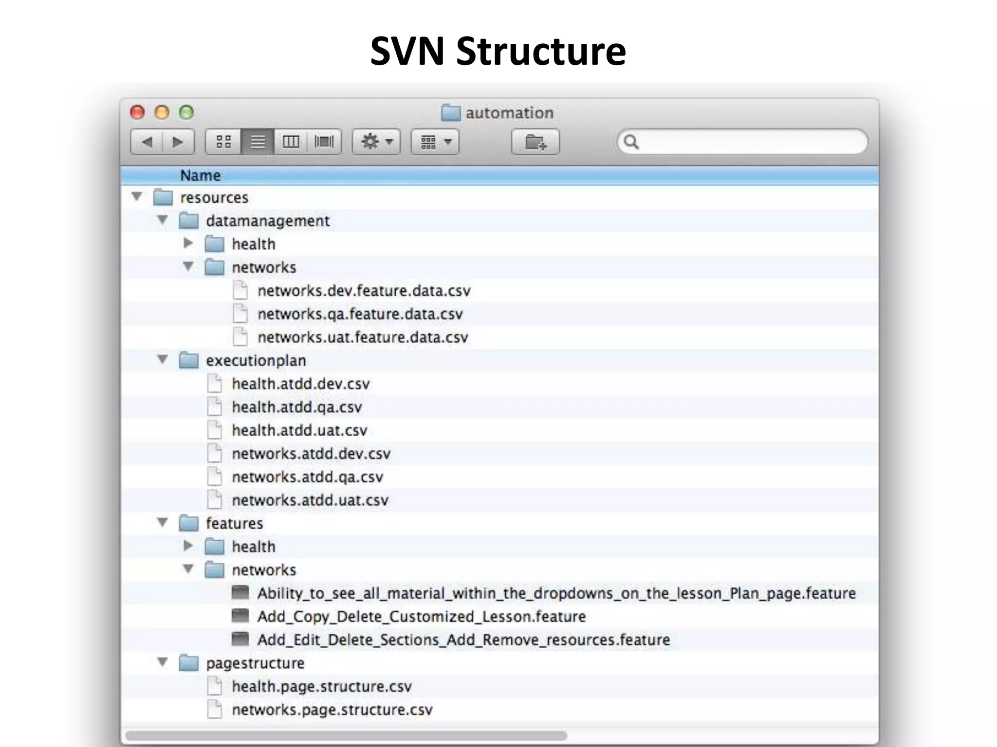 SVN Structure
 