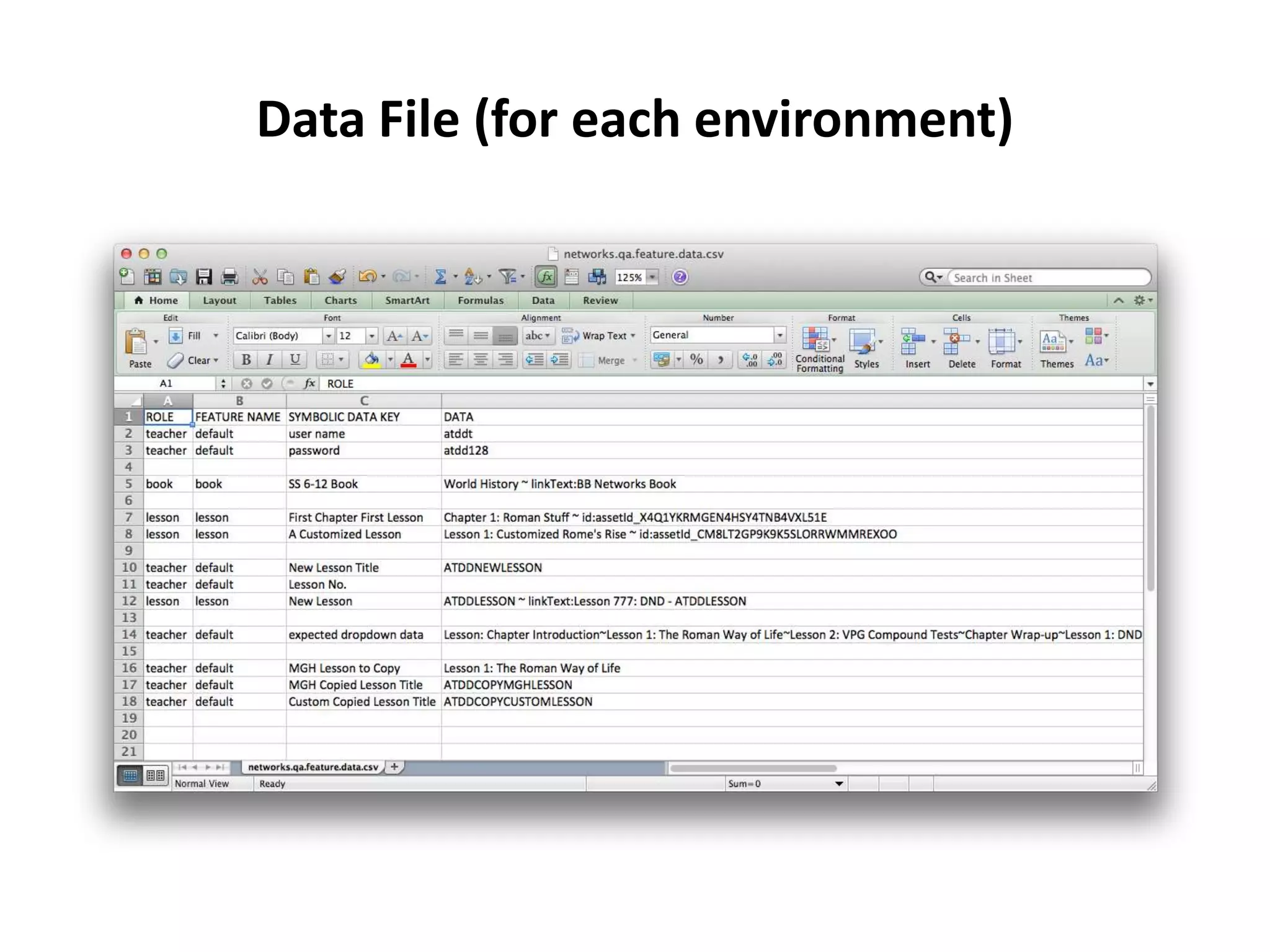 Data File (for each environment)
 