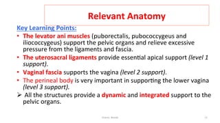  
Relevant	
  Anatomy	
  
Key	
  Learning	
  Points:	
  
•  The	
  levator	
  ani	
  muscles	
  (puborectalis,	
  pubococcygeus	
  and	
  
iliococcygeus)	
  support	
  the	
  pelvic	
  organs	
  and	
  relieve	
  excessive	
  
pressure	
  from	
  the	
  ligaments	
  and	
  fascia.	
  
•  The	
  uterosacral	
  ligaments	
  provide	
  essen=al	
  apical	
  support	
  (level	
  1	
  
support).	
  
•  Vaginal	
  fascia	
  supports	
  the	
  vagina	
  (level	
  2	
  support).	
  
•  The	
  perineal	
  body	
  is	
  very	
  important	
  in	
  suppor=ng	
  the	
  lower	
  vagina	
  
(level	
  3	
  support).	
  
Ø 	
  All	
  the	
  structures	
  provide	
  a	
  dynamic	
  and	
  integrated	
  support	
  to	
  the	
  
pelvic	
  organs.	
  
Osama	
  	
  Warda	
   11	
  
	
  
	
  
	
  
	
  
 