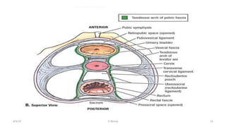  
4/9/19	
   O	
  Warda	
   14	
  
 