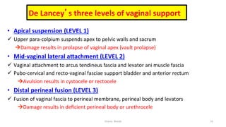  
De	
  Lancey’s	
  three	
  levels	
  of	
  vaginal	
  support	
  
•  Apical	
  suspension	
  (LEVEL	
  1) 	
   	
  	
  
ü  Upper	
  para-­‐colpium	
  suspends	
  apex	
  to	
  pelvic	
  walls	
  and	
  sacrum	
  
	
  	
  	
  	
  	
  	
  !Damage	
  results	
  in	
  prolapse	
  of	
  vaginal	
  apex	
  (vault	
  prolapse)	
  
•  Mid-­‐vaginal	
  lateral	
  aQachment	
  (LEVEL	
  2)	
  
ü  Vaginal	
  aRachment	
  to	
  arcus	
  tendineus	
  fascia	
  and	
  levator	
  ani	
  muscle	
  fascia	
  
ü  Pubo-­‐cervical	
  and	
  recto-­‐vaginal	
  fasciae	
  support	
  bladder	
  and	
  anterior	
  rectum	
  
	
  	
  	
  	
  	
  	
  	
  	
  !Avulsion	
  results	
  in	
  cystocele	
  or	
  rectocele	
  
•  Distal	
  perineal	
  fusion	
  (LEVEL	
  3)	
  
ü  Fusion	
  of	
  vaginal	
  fascia	
  to	
  perineal	
  membrane,	
  perineal	
  body	
  and	
  levators	
  
	
  	
  	
  	
  	
  	
  	
  	
  !Damage	
  results	
  in	
  deﬁcient	
  perineal	
  body	
  or	
  urethrocele	
  
Osama	
  	
  Warda	
   16	
  
	
  
	
  
	
  
	
  
 