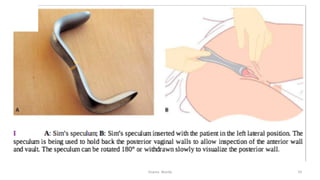  
Osama	
  	
  Warda	
   19	
  
	
  
	
  
	
  
	
  
 