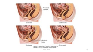  
Osama	
  	
  Warda	
   20	
  
	
  
	
  
	
  
	
  
 