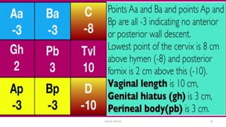  
Osama	
  	
  Warda	
   32	
  
 