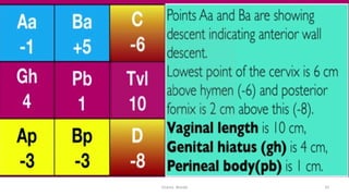  
Osama	
  	
  Warda	
   33	
  
 