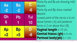  
Osama	
  	
  Warda	
   34	
  
 