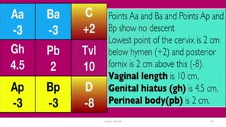  
Osama	
  	
  Warda	
   36	
  
 