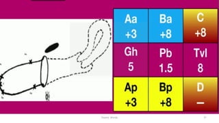  
Osama	
  	
  Warda	
   37	
  
 