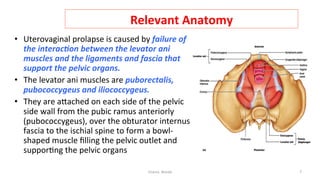  
Relevant	
  Anatomy	
  
•  Uterovaginal	
  prolapse	
  is	
  caused	
  by	
  failure	
  of	
  
the	
  interac.on	
  between	
  the	
  levator	
  ani	
  
muscles	
  and	
  the	
  ligaments	
  and	
  fascia	
  that	
  
support	
  the	
  pelvic	
  organs.	
  	
  
•  The	
  levator	
  ani	
  muscles	
  are	
  puborectalis,	
  
pubococcygeus	
  and	
  iliococcygeus.	
  	
  
•  They	
  are	
  aRached	
  on	
  each	
  side	
  of	
  the	
  pelvic	
  
side	
  wall	
  from	
  the	
  pubic	
  ramus	
  anteriorly	
  
(pubococcygeus),	
  over	
  the	
  obturator	
  internus	
  
fascia	
  to	
  the	
  ischial	
  spine	
  to	
  form	
  a	
  bowl-­‐
shaped	
  muscle	
  ﬁlling	
  the	
  pelvic	
  outlet	
  and	
  
suppor=ng	
  the	
  pelvic	
  organs	
  
Osama	
  	
  Warda	
   7	
  
	
  
	
  
	
  
	
  
 