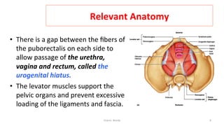  
Relevant	
  Anatomy	
  
•  There	
  is	
  a	
  gap	
  between	
  the	
  ﬁbers	
  of	
  
the	
  puborectalis	
  on	
  each	
  side	
  to	
  
allow	
  passage	
  of	
  the	
  urethra,	
  
vagina	
  and	
  rectum,	
  called	
  the	
  
urogenital	
  hiatus.	
  	
  
•  The	
  levator	
  muscles	
  support	
  the	
  
pelvic	
  organs	
  and	
  prevent	
  excessive	
  
loading	
  of	
  the	
  ligaments	
  and	
  fascia.	
  
Osama	
  	
  Warda	
   8	
  
	
  
	
  
	
  
	
  
 