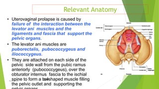 Relevant Anatomy
Osama Warda 4
• Uterovaginal prolapse is caused by
failure of the interaction between the
levator ani muscles and the
ligaments and fascia that support the
pelvic organs.
• The levator ani muscles are
puborectalis, pubococcygeus and
iliococcygeus.
• They are attached on each side of the
pelvic side wall from the pubic ramus
anteriorly (pubococcygeus), over the
obturator internus fascia to the ischial
spine to form a b
o
w
l
-
‐shaped muscle ﬁlling
the pelvic outlet and supporting the
 