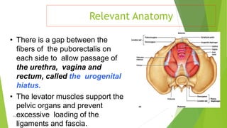 Relevant Anatomy
Osama Warda 5
• There is a gap between the
ﬁbers of the puborectalis on
each side to allow passage of
the urethra, vagina and
rectum, called the urogenital
hiatus.
• The levator muscles support the
pelvic organs and prevent
excessive loading of the
ligaments and fascia.
 