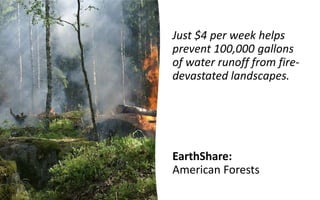Just $4 per week helps
prevent 100,000 gallons
of water runoff from fire-
devastated landscapes.
EarthShare:
American Fore...
