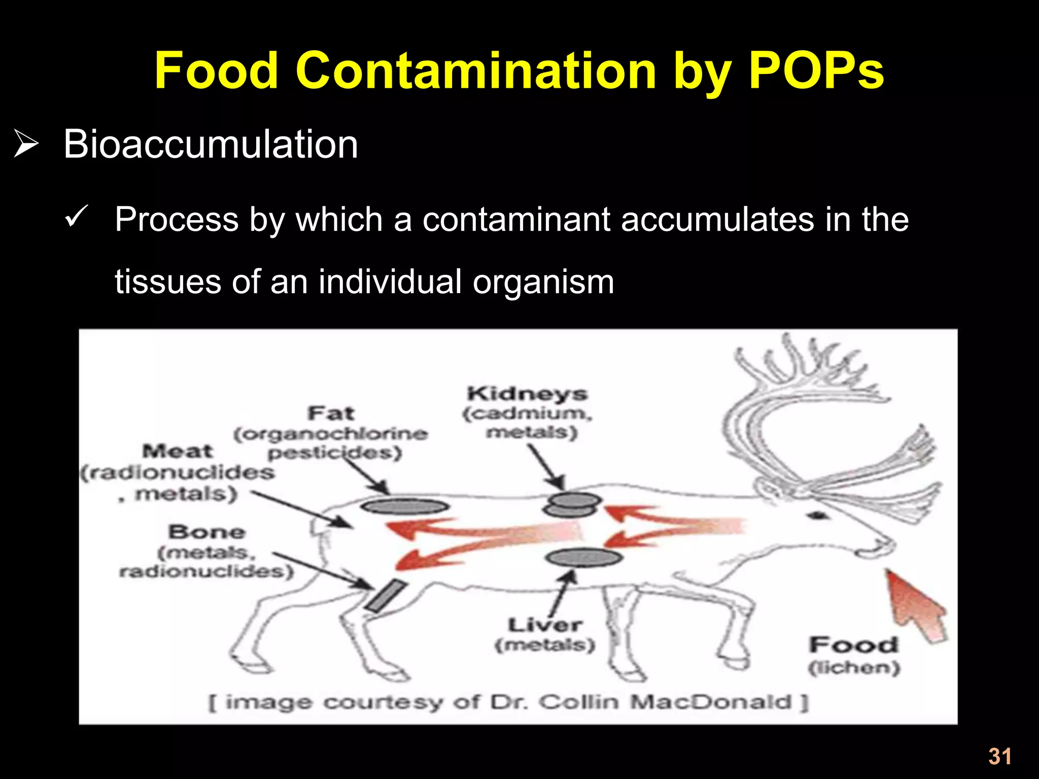 Pop presentation | PPTX