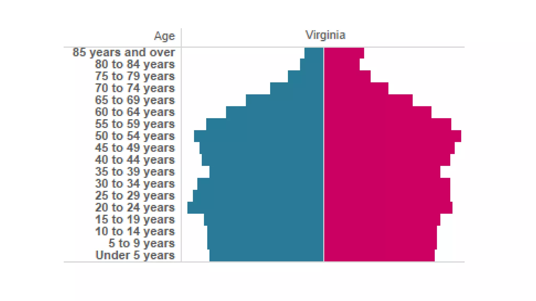 State Population Pyramids | PPT