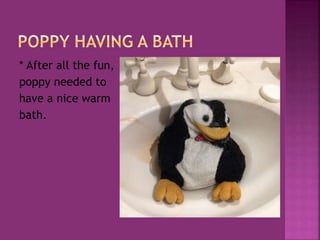 * After all the fun,
poppy needed to
have a nice warm
bath.
 