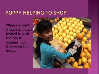 When we went
shopping, poppy
helped to pick
the ripest
oranges, but
they were too
heavy.
 