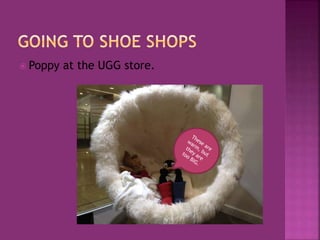  Poppy at the UGG store.
 