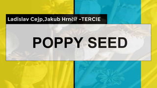 POPPY SEED
Ladislav Cejp,Jakub Hrnčíř -TERCIE
 
