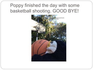 Poppy finished the day with some
basketball shooting. GOOD BYE!
 