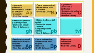 Comprehensive Guide to POP-Q Classification and Management of Pelvic ...