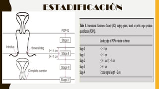 Comprehensive Guide to POP-Q Classification and Management of Pelvic ...