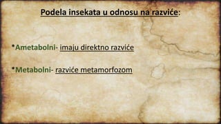 Podela insekata u odnosu na razviće:
*Ametabolni- imaju direktno razviće
*Metabolni- razviće metamorfozom
 