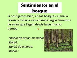Sentimientos en el
              bosque
Si nos fijamos bien, en los bosques suena la
poesía y todavía escuchamos largos lamentos
de amor que llegan desde hace mucho
tiempo.

“Moriré de amor, mi madre,
Moriré.
Moriré de amores,
Moriré.”
 