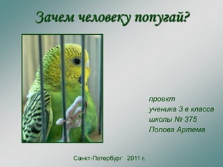 Зачем человеку попугай? 
Санкт-Петербург 2011 г. 
проект 
ученика 3 в класса 
школы № 375 
Попова Артема 
 