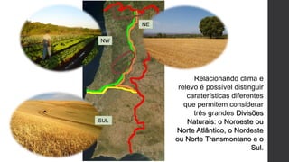 NW
NE
SUL
Relacionando clima e
relevo é possível distinguir
caraterísticas diferentes
que permitem considerar
três grandes Divisões
Naturais: o Noroeste ou
Norte Atlântico, o Nordeste
ou Norte Transmontano e o
Sul.
 