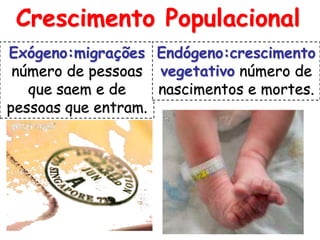 Crescimento Populacional
Exógeno:migrações Endógeno:crescimento
 número de pessoas vegetativo número de
   que saem e de    nascimentos e mortes.
pessoas que entram.




                                      7
 