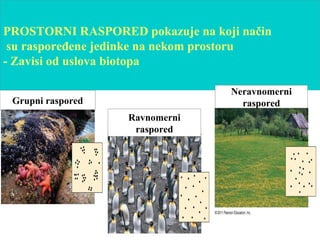 GUSTINA populacije je prosečan broj jedinki
u populaciji po jedinici površine ili zapremine
Npr. broj stabala određene vrste na 1ha šume
 