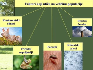 Grupni raspored
Ravnomeran
raspored
Neravnomeran
raspored
 