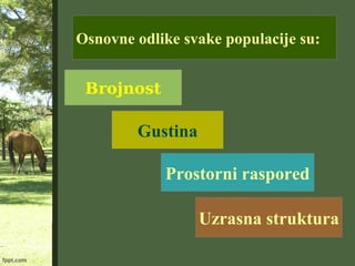 Osnovne odlike svake populacije su:
Brojnost
Gustina
Prostorni raspored
Uzrasna struktura
 