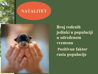NATALITET
Broj rođenih
jedinki u populaciji
u određenom
vremenu
Pozitivan faktor
rasta populacije
 