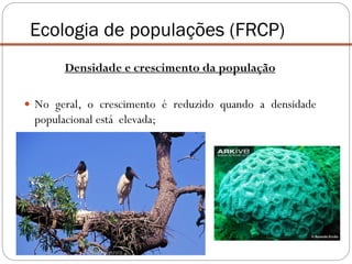 Densidade e crescimento da população
 No geral, o crescimento é reduzido quando a densidade
populacional está elevada;
Ecologia de populações (FRCP)
 