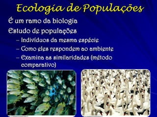 Desde o ataque de 11 de setembro nos Estados Unidos, a localidade desse vírus ficou menos isolada com o crescimento das ameaças de bioterrorismo. 
O vírus da febre hemorrágica de Ebola está classificada como prioridade para o desenvolvimento de vacinas. 
Experimentos foram feitos para demonstrar como o vírus da febre hemorrágica de Ebola poderia ser usado como arma biológica. 
Surtos e Bioterrorismo  