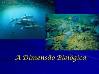 Filoviridae ou “Filovirus” 
Grupo de vírus misterioso 
Patogênese não bem entendida 
Ebola 
–Historia natural e reservatórios não conhecidos 
–Existem no mundo inteiro 
–Endêmica a África 
–Vírus filamentoso ssRNA- 
Imagem do Centers for Disease Control  