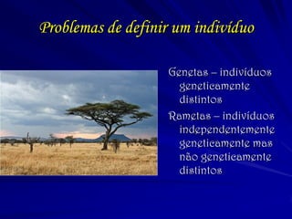 Nenhum tratamento padrão disponível 
Pacientes recebem terapia de apoio 
Tratamento de infecções que complicam 
Balançando os fluidos e eletrólitos do paciente 
Manutenção do oxigênio e pressão sanguínea 
Tratamento  