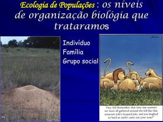 –O órgão de alvo é a rede vascular. 
–Os atributos clínicos dominantes se devem aos danos microvasculares e mudanças da permeabilidade vascular 
–Na maioria dos casos da febre hemorrágica viral, a patologia da coagulação é multifatorial, incluindo: Danos hepáticos Coagulação intravascular disseminada Dano primário do marrow nos megakariocitas 
Patofisiológia  